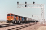 BNSF 4455